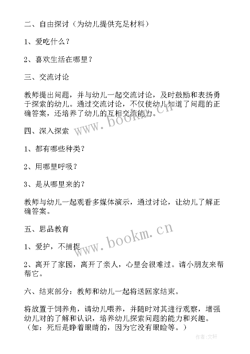 最新幼儿园金鱼教案 大班美术金鱼教案(优秀8篇)