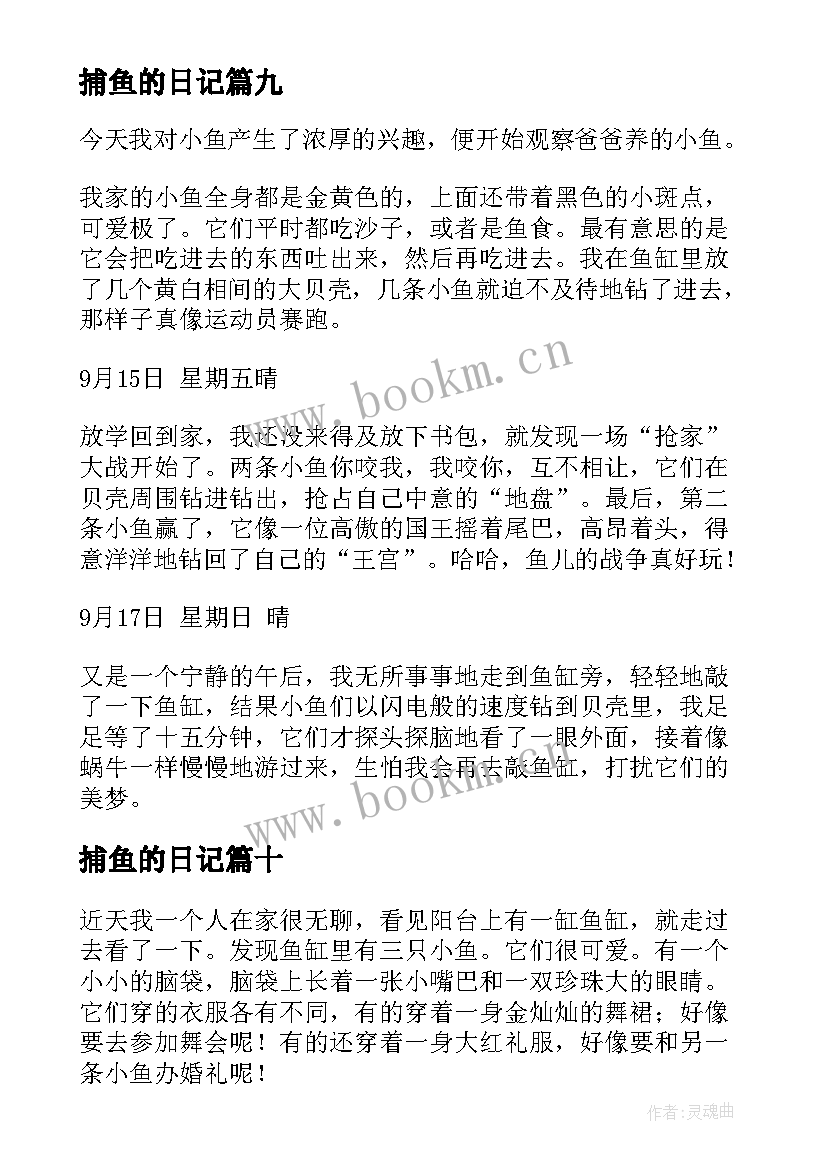 捕鱼的日记(模板11篇)