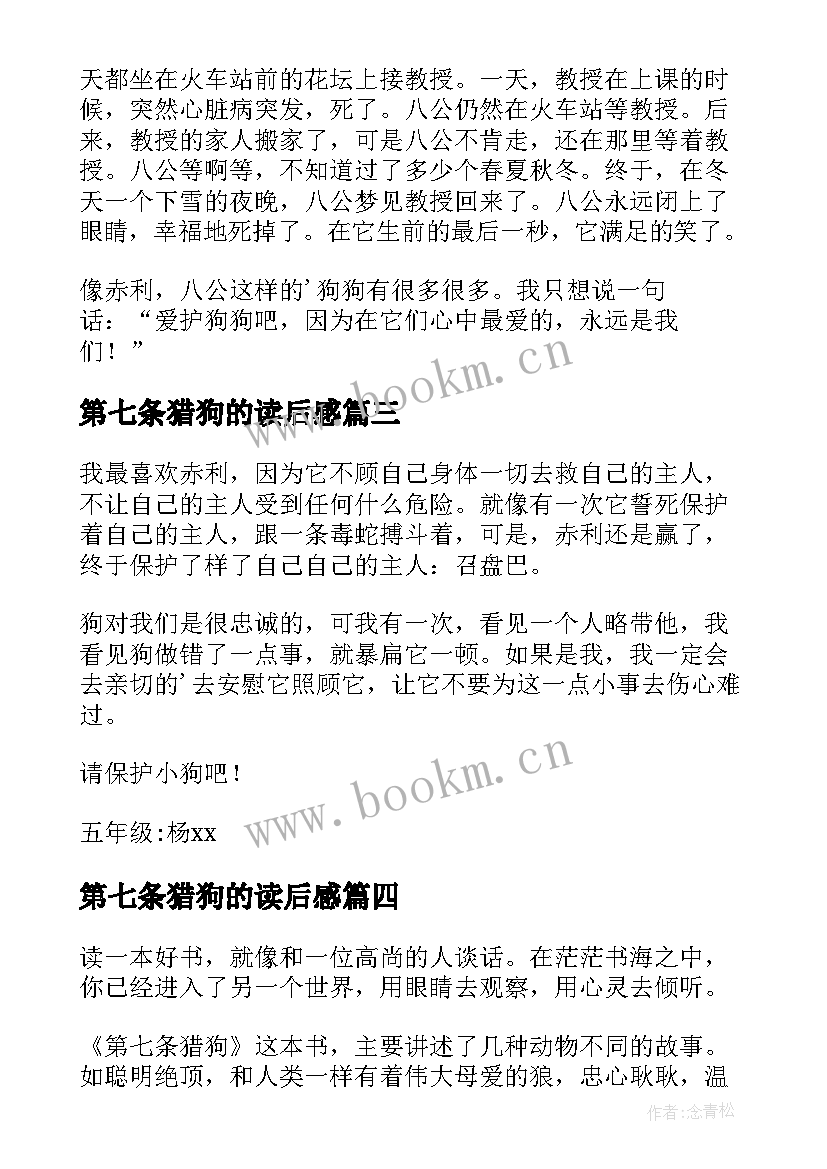 2023年第七条猎狗的读后感 第七条猎狗读后感(大全20篇)