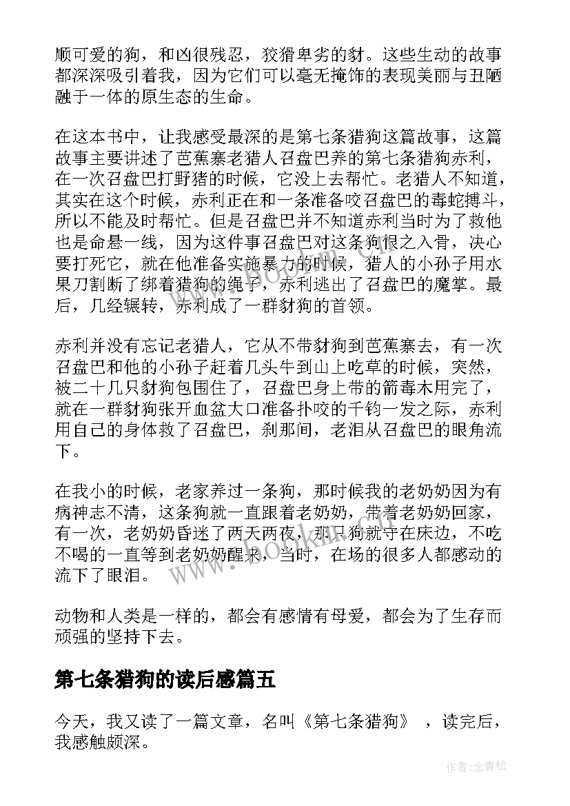 2023年第七条猎狗的读后感 第七条猎狗读后感(大全20篇)