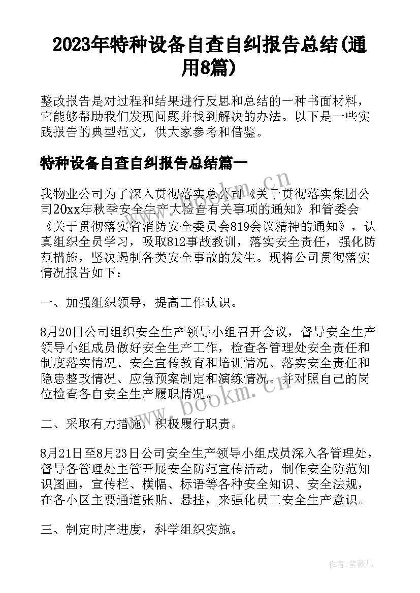 2023年特种设备自查自纠报告总结(通用8篇)