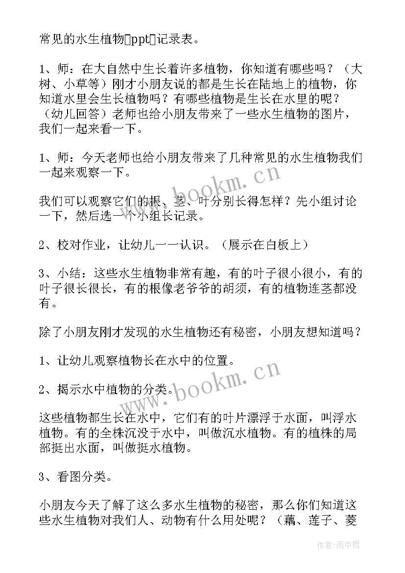 2023年画植物的教案(精选15篇)