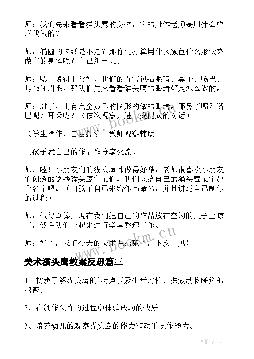 2023年美术猫头鹰教案反思(优秀8篇)