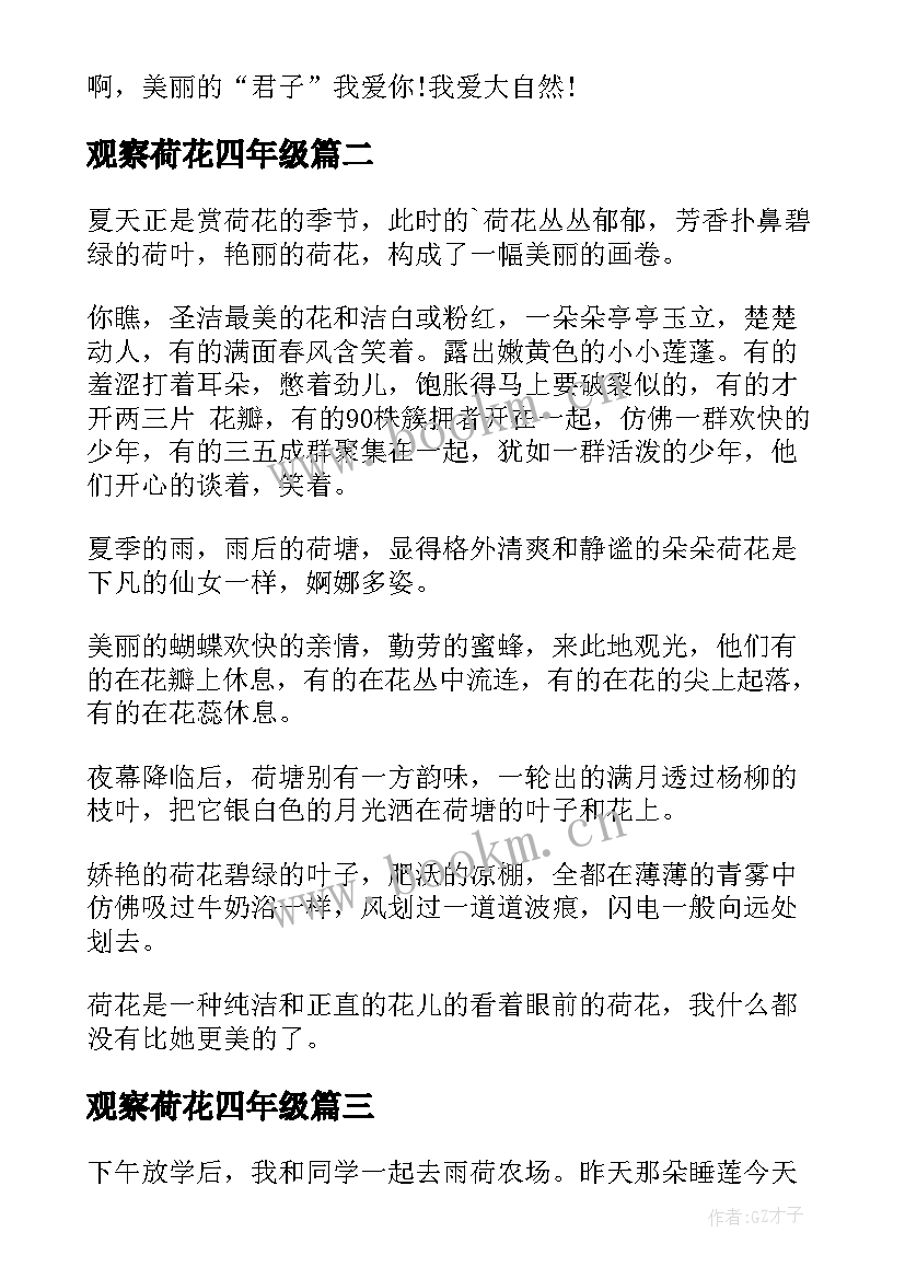 2023年观察荷花四年级 观察荷花日记(模板15篇)