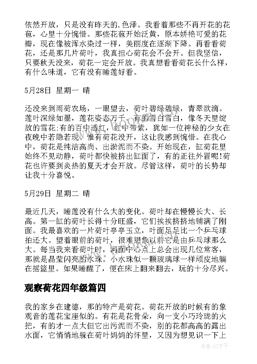 2023年观察荷花四年级 观察荷花日记(模板15篇)