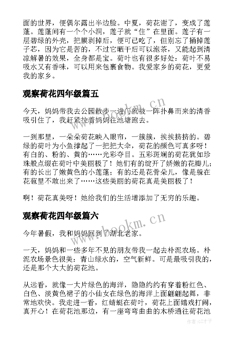 2023年观察荷花四年级 观察荷花日记(模板15篇)