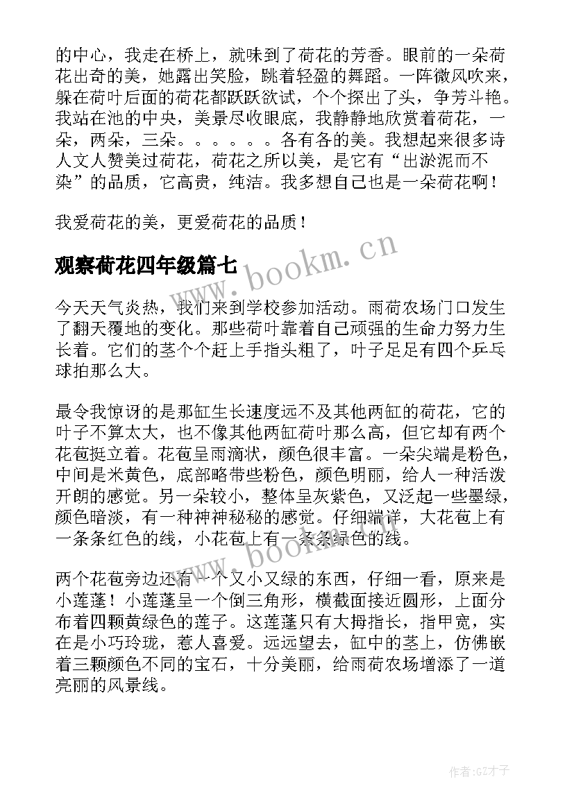 2023年观察荷花四年级 观察荷花日记(模板15篇)