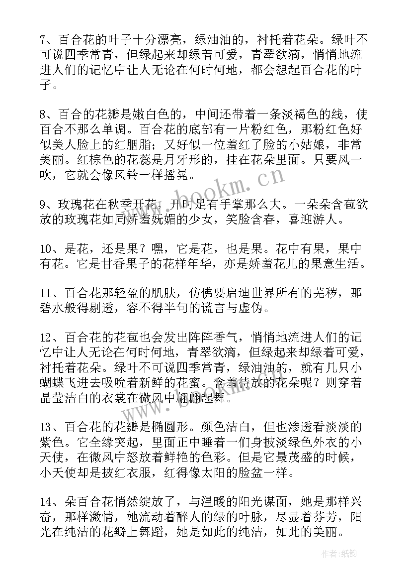 最新梅花的句子唯美长句 百合花的唯美句子经典(优秀19篇)