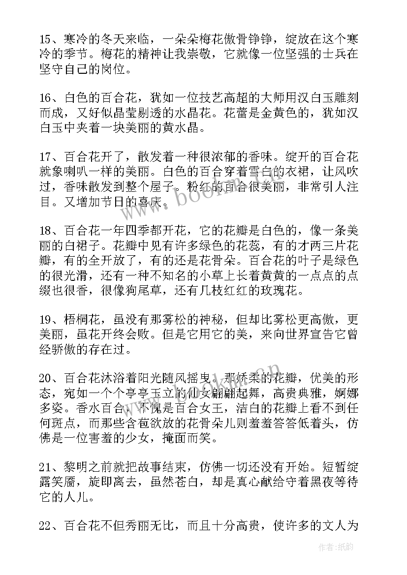 最新梅花的句子唯美长句 百合花的唯美句子经典(优秀19篇)