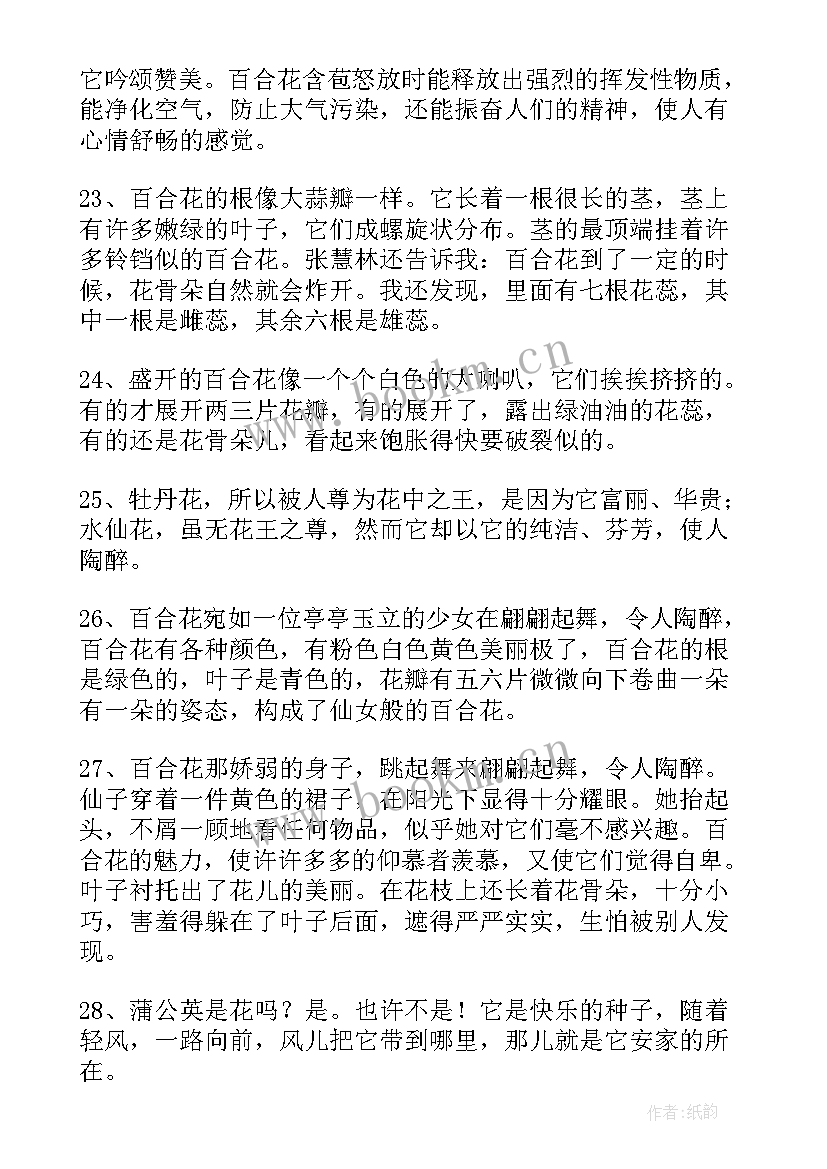 最新梅花的句子唯美长句 百合花的唯美句子经典(优秀19篇)