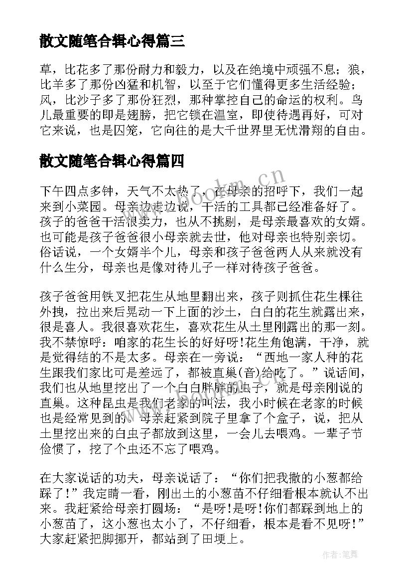 2023年散文随笔合辑心得 散文随笔心得体会(精选8篇)