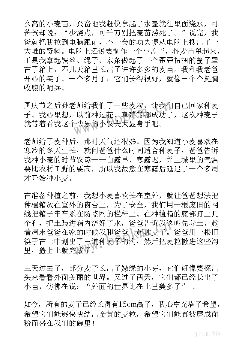 小学生种植日记图文并茂 观察一种植物的小学日记(通用7篇)