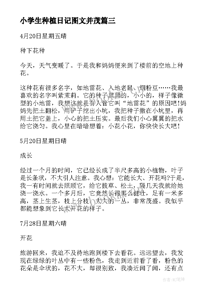 小学生种植日记图文并茂 观察一种植物的小学日记(通用7篇)