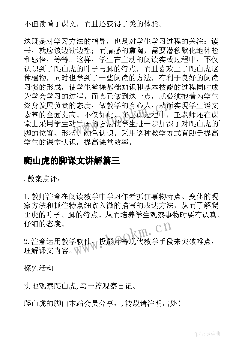 最新爬山虎的脚课文讲解 课文爬山虎的脚教案(实用8篇)