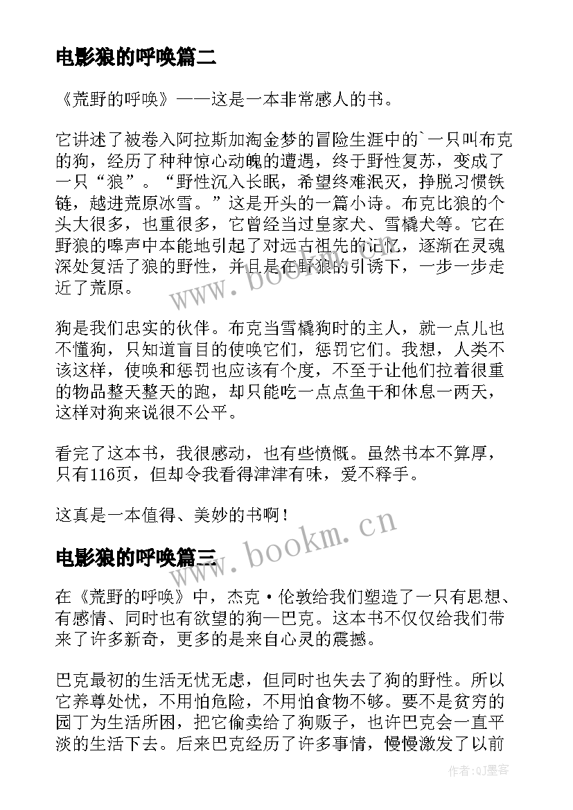 电影狼的呼唤 荒野的呼唤读后感(实用12篇)