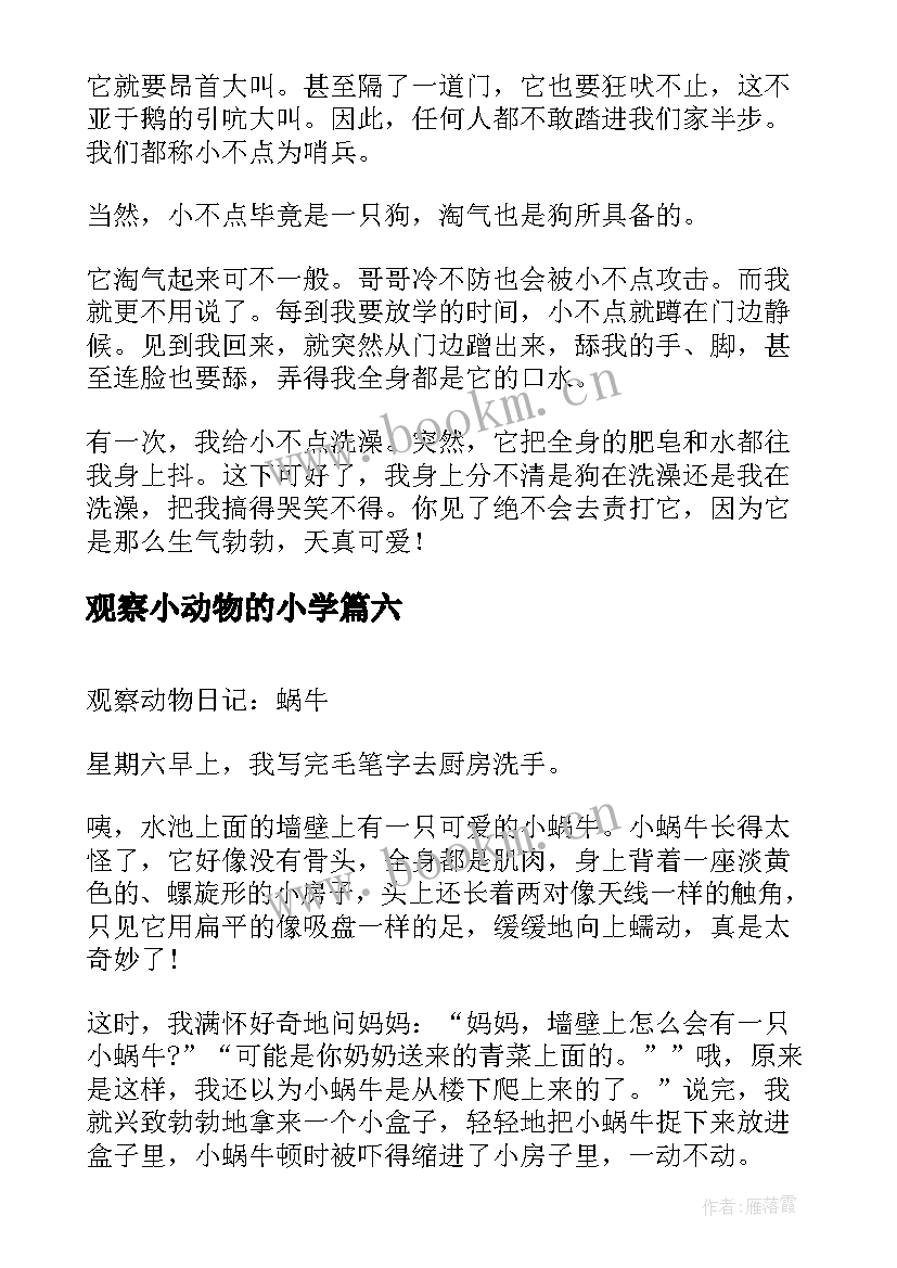 最新观察小动物的小学 小学动物观察日记(大全17篇)