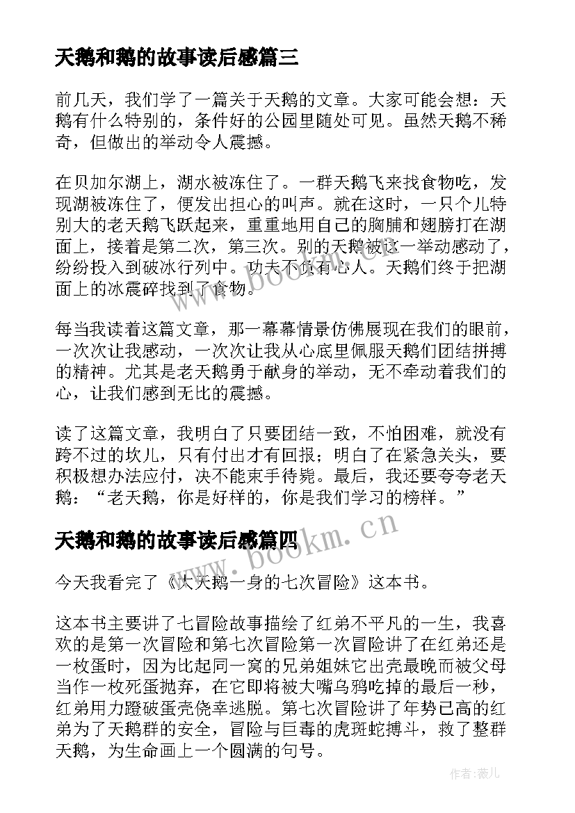 天鹅和鹅的故事读后感 天鹅的故事读后感(优质8篇)