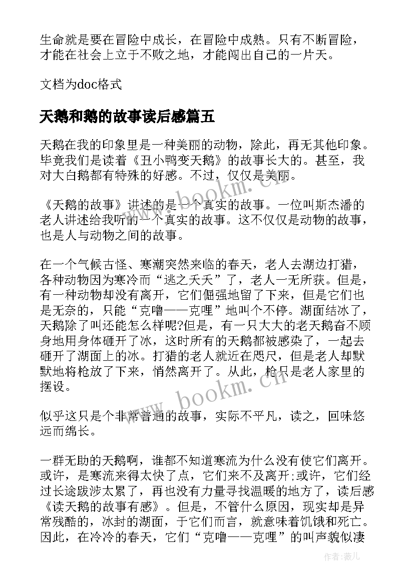 天鹅和鹅的故事读后感 天鹅的故事读后感(优质8篇)