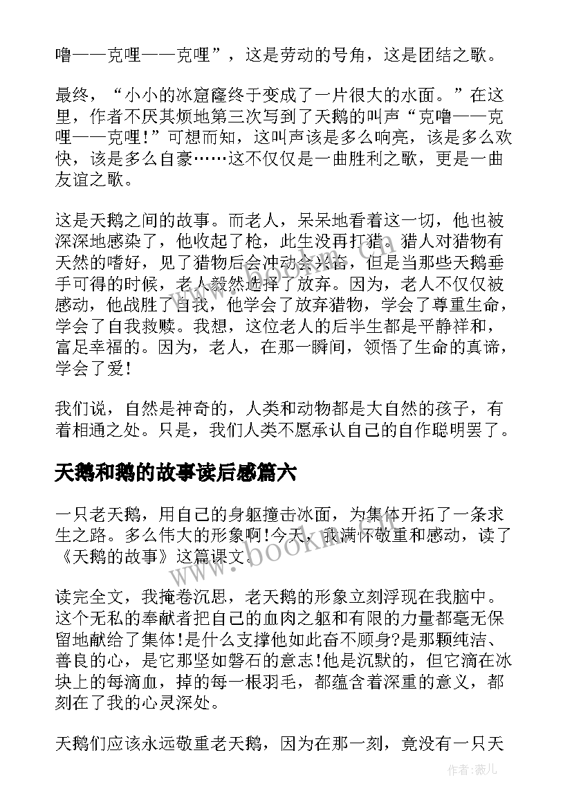 天鹅和鹅的故事读后感 天鹅的故事读后感(优质8篇)