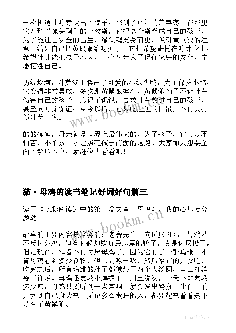 2023年猫·母鸡的读书笔记好词好句(优质13篇)