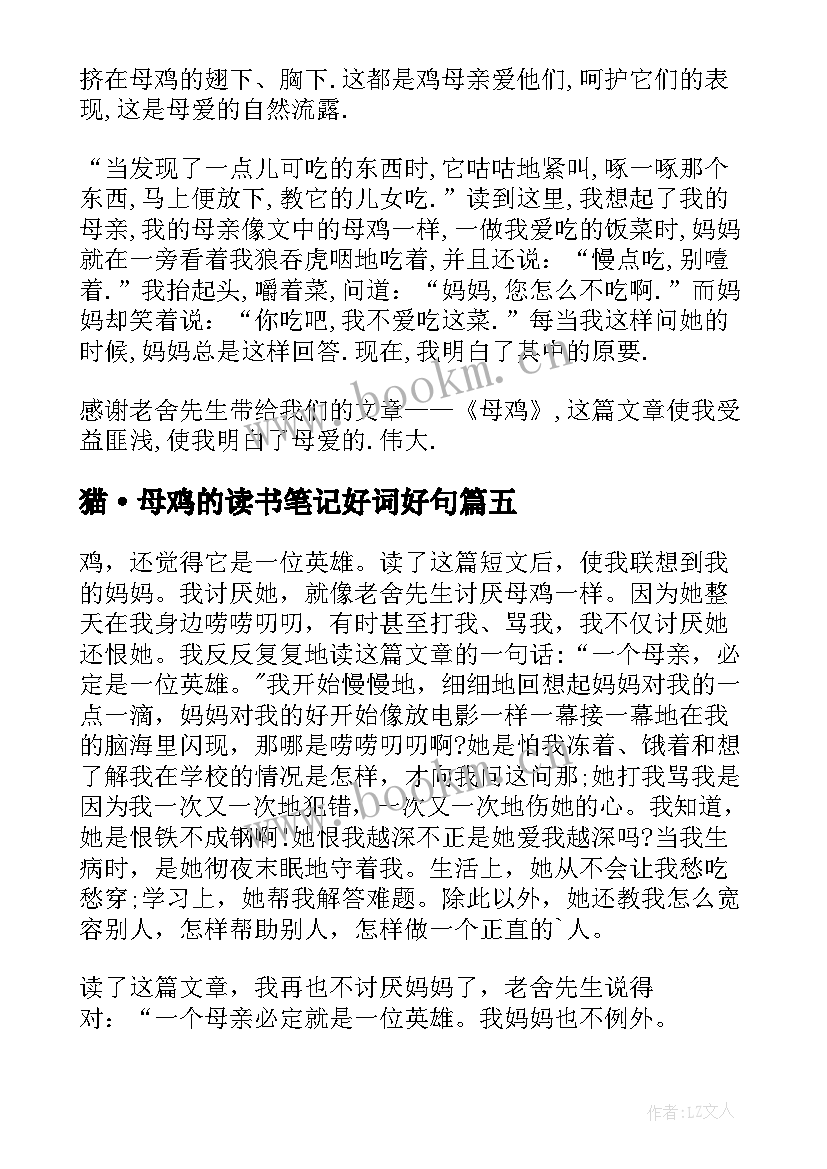 2023年猫·母鸡的读书笔记好词好句(优质13篇)