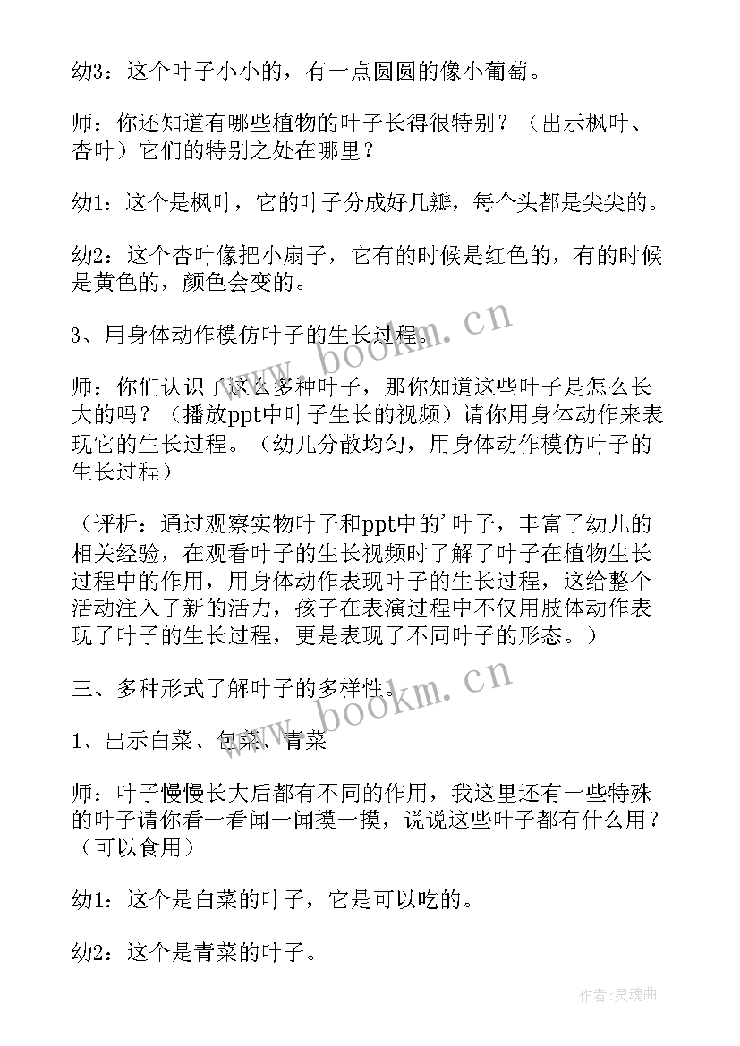 最新幼儿园学前班科学教案纸的秘密(模板17篇)