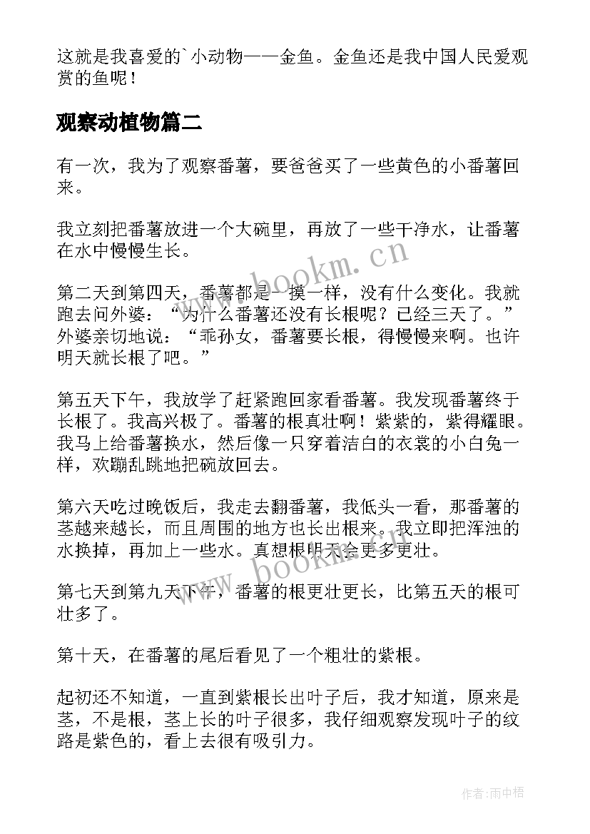 2023年观察动植物 观察动植物日记(模板17篇)