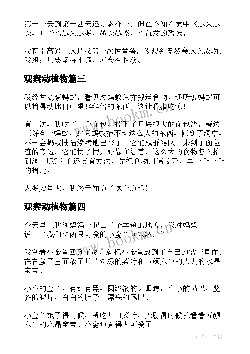 2023年观察动植物 观察动植物日记(模板17篇)