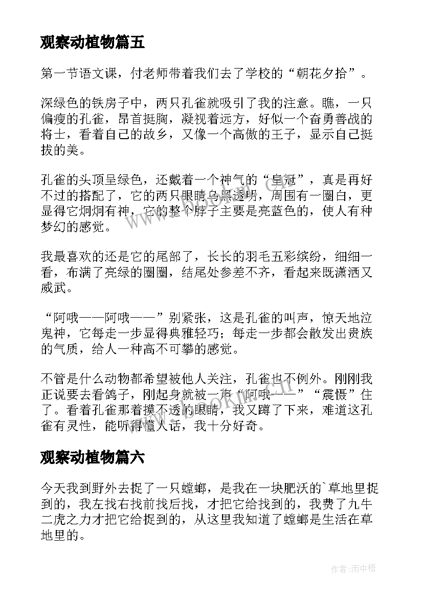 2023年观察动植物 观察动植物日记(模板17篇)