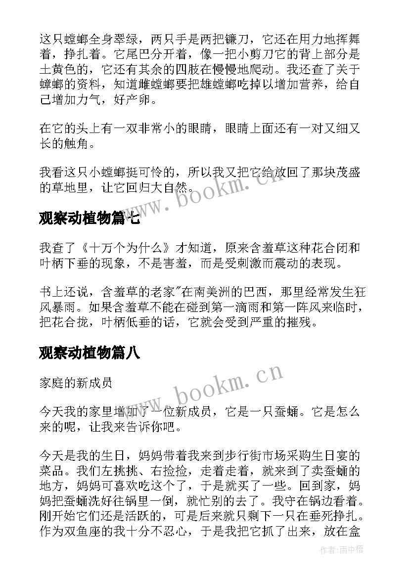 2023年观察动植物 观察动植物日记(模板17篇)