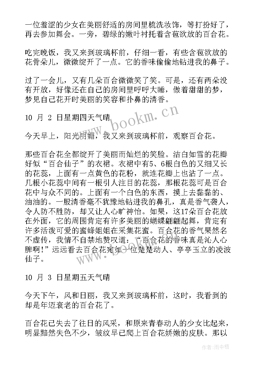 最新四年级观察的日记 四年级观察日记(精选10篇)