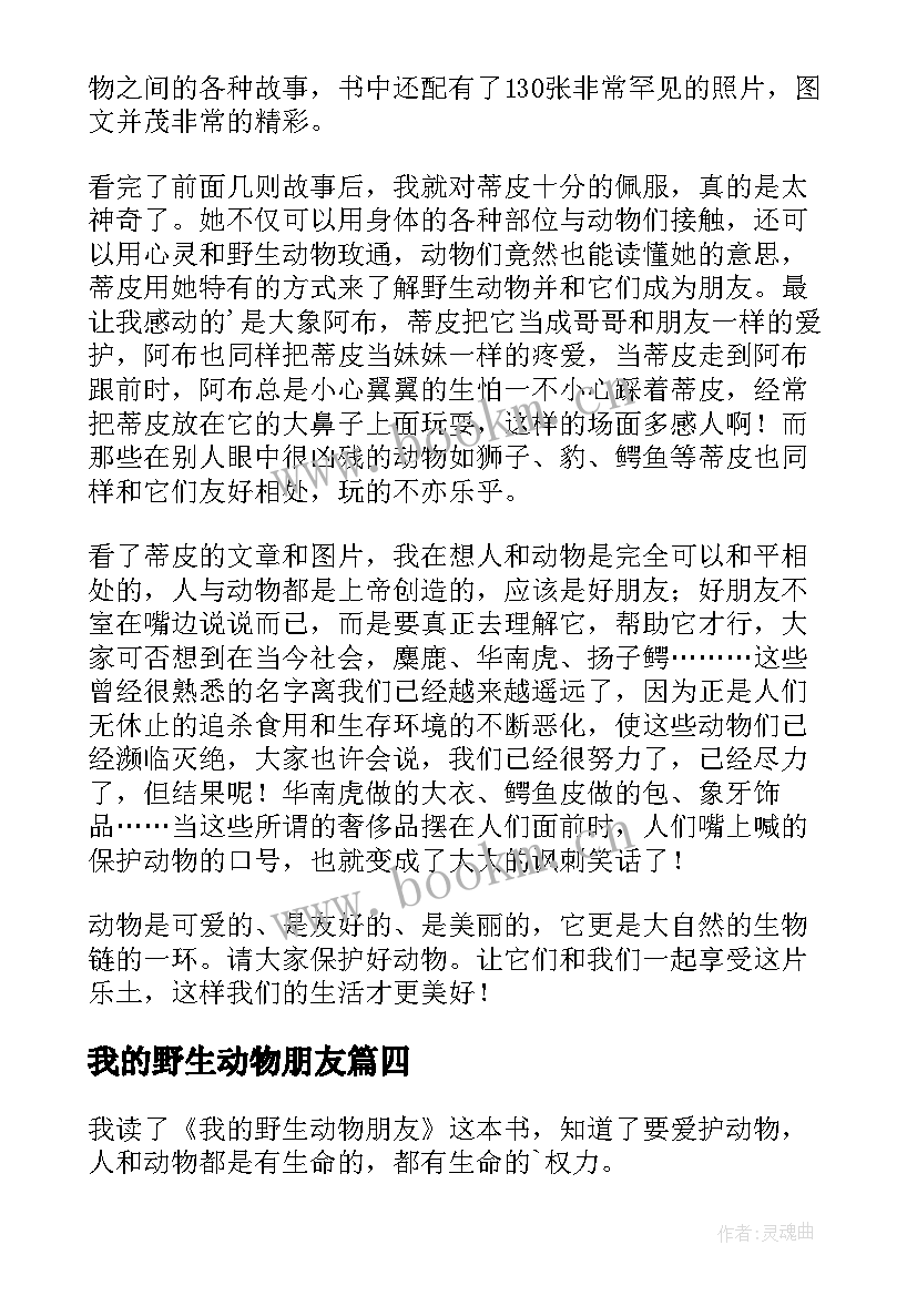 我的野生动物朋友 我的野生动物朋友读后感(优质12篇)