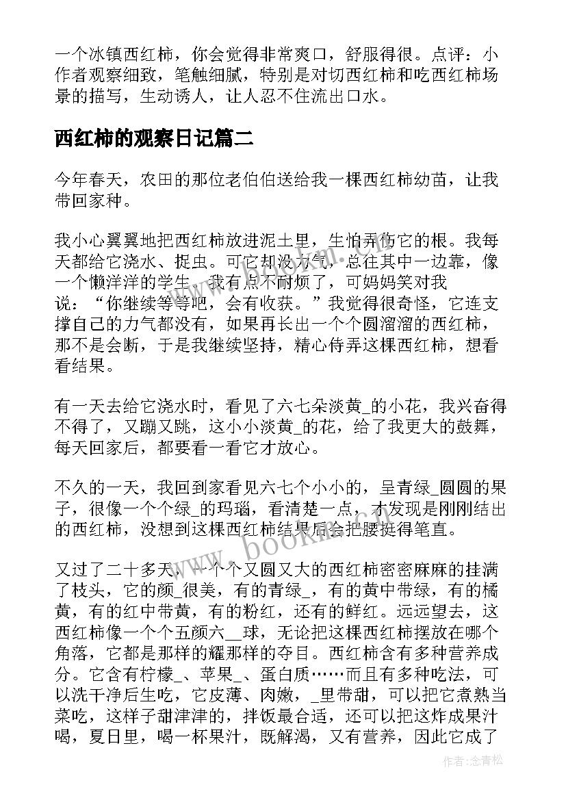 2023年西红柿的观察日记(精选7篇)