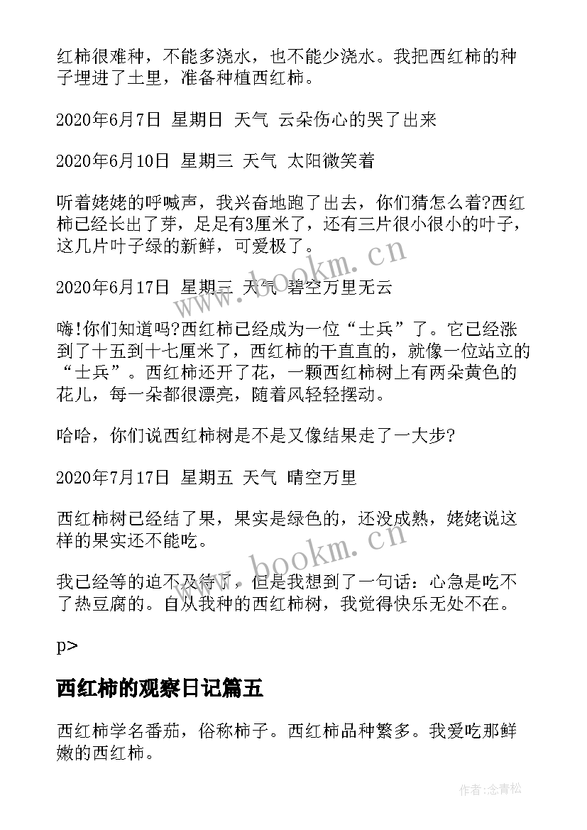 2023年西红柿的观察日记(精选7篇)