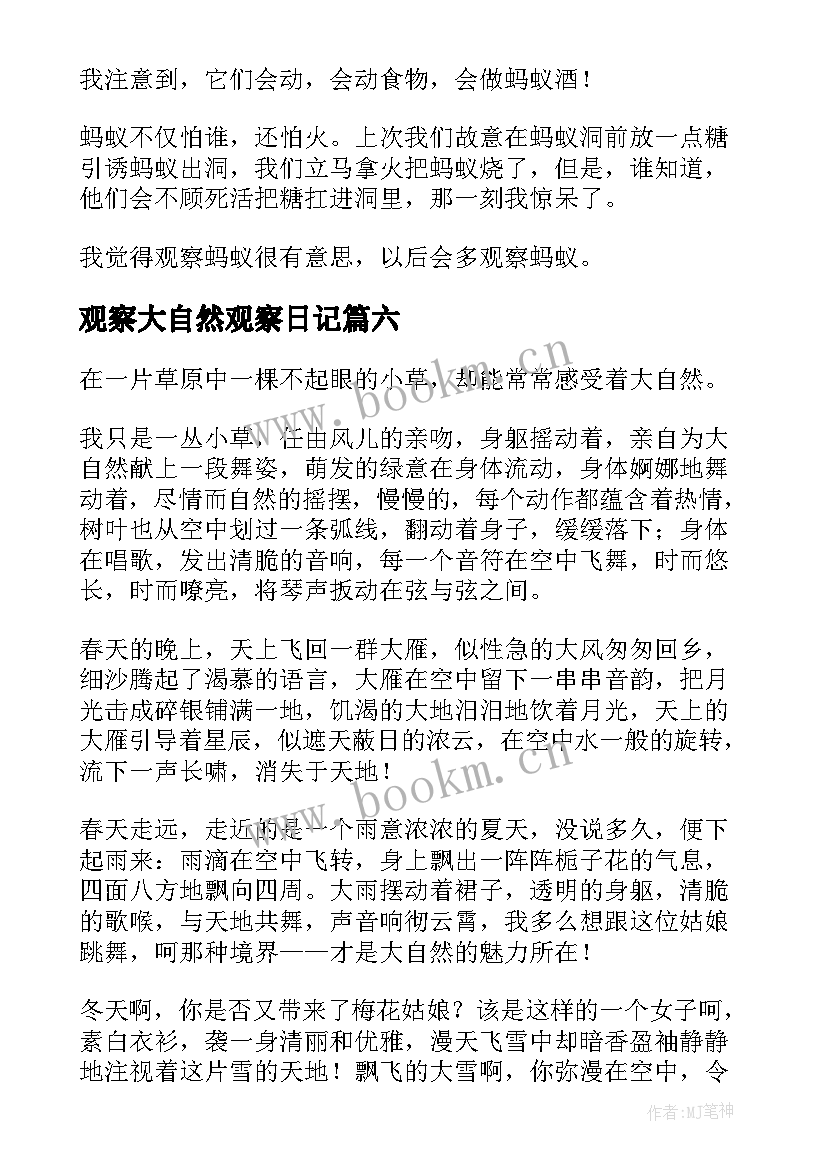 2023年观察大自然观察日记 大自然观察日记(模板8篇)