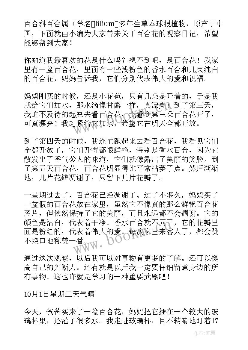 最新百合观察日记四年级 百合花观察日记(大全8篇)