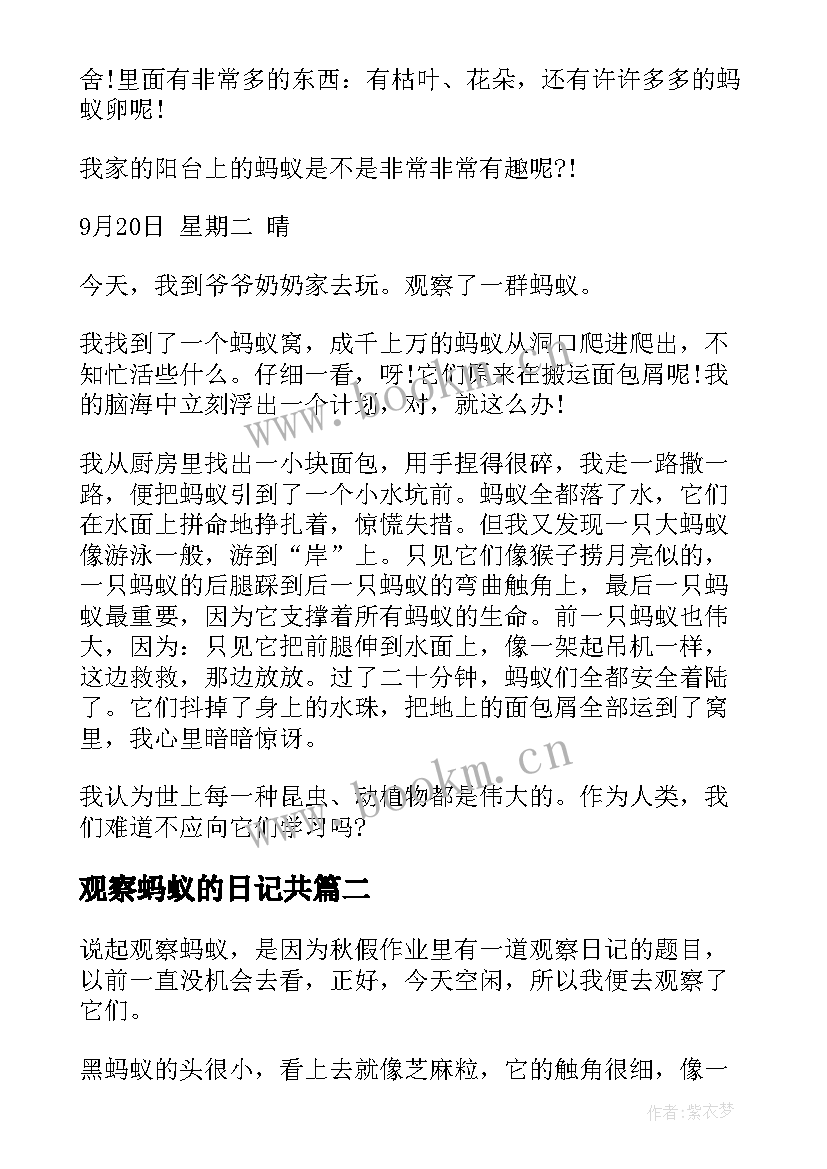 最新观察蚂蚁的日记共(汇总8篇)