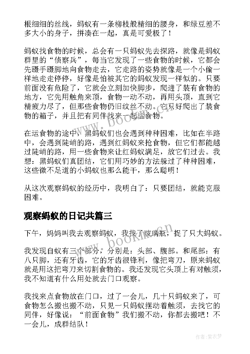 最新观察蚂蚁的日记共(汇总8篇)