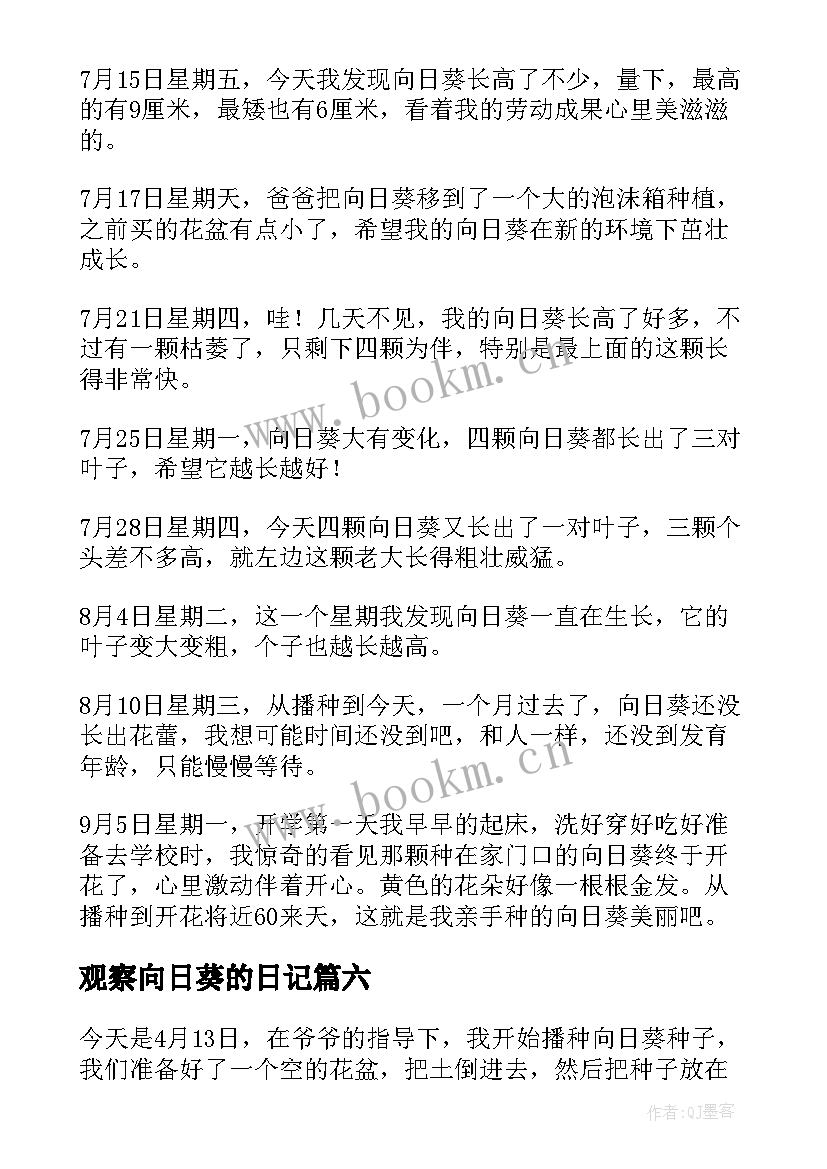 观察向日葵的日记(模板12篇)