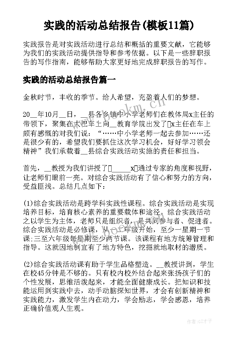 实践的活动总结报告(模板11篇)