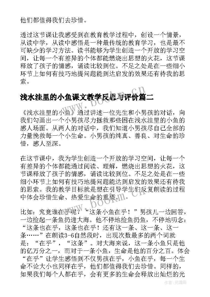 2023年浅水洼里的小鱼课文教学反思与评价 浅水洼里的小鱼教学反思(优秀8篇)