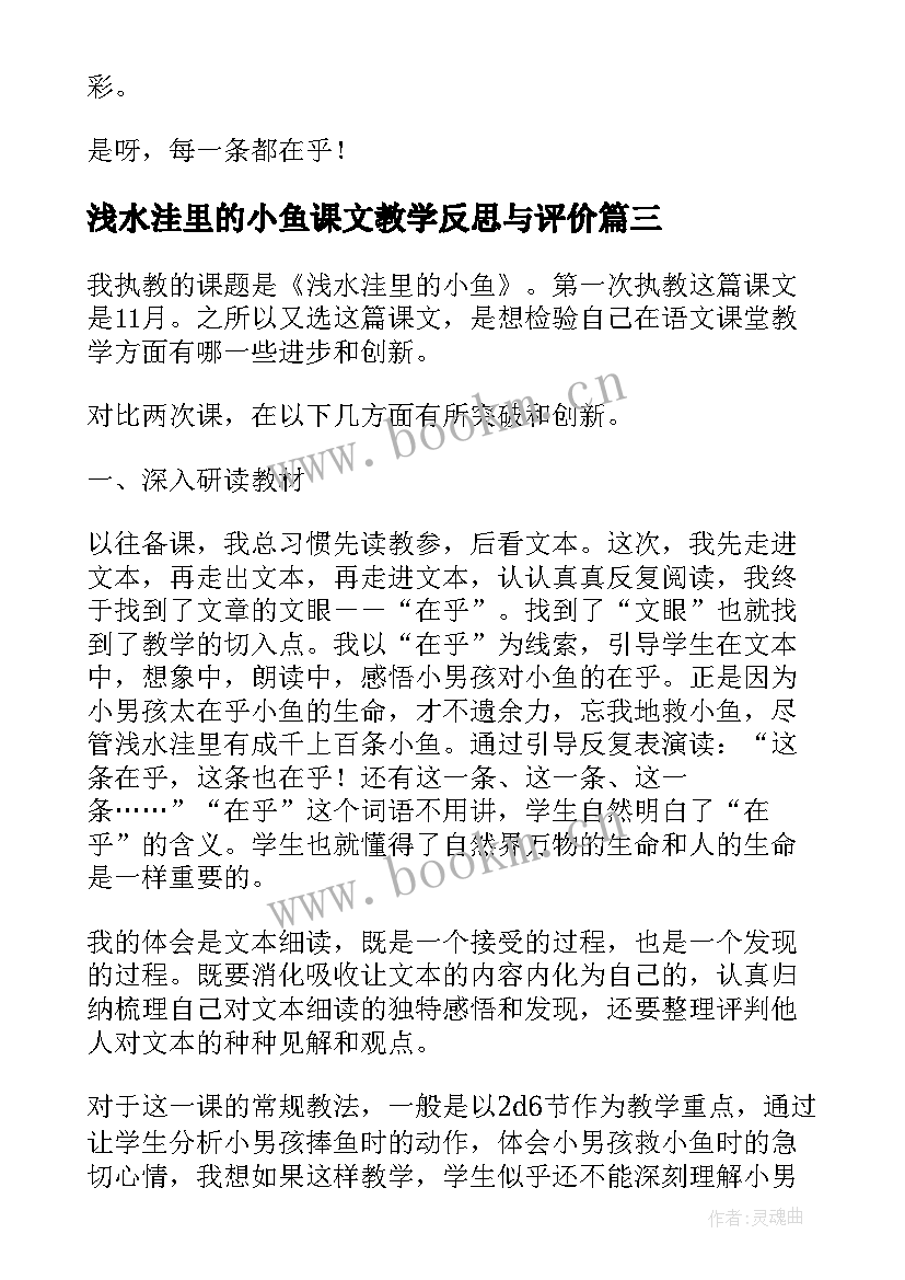 2023年浅水洼里的小鱼课文教学反思与评价 浅水洼里的小鱼教学反思(优秀8篇)