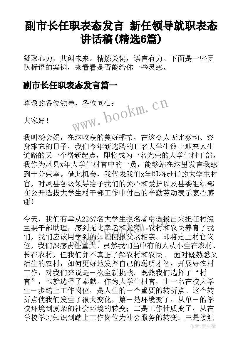 副市长任职表态发言 新任领导就职表态讲话稿(精选6篇)