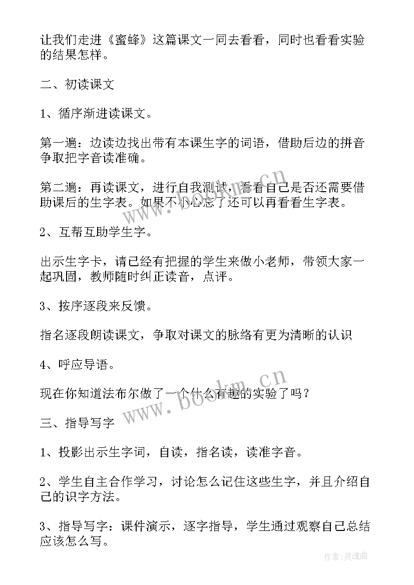 最新三年级语文蜜蜂的教案及反思(实用12篇)