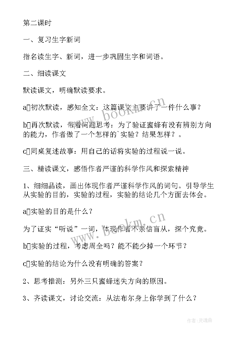 最新三年级语文蜜蜂的教案及反思(实用12篇)