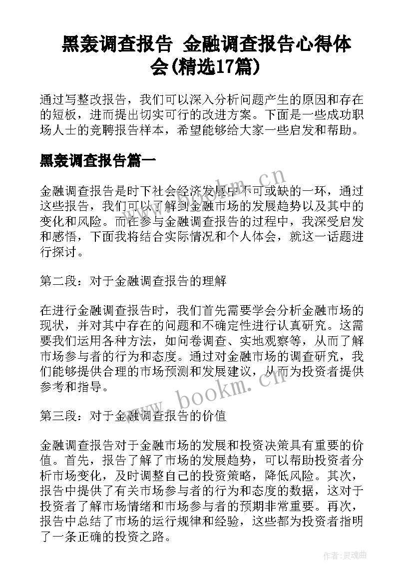 黑轰调查报告 金融调查报告心得体会(精选17篇)