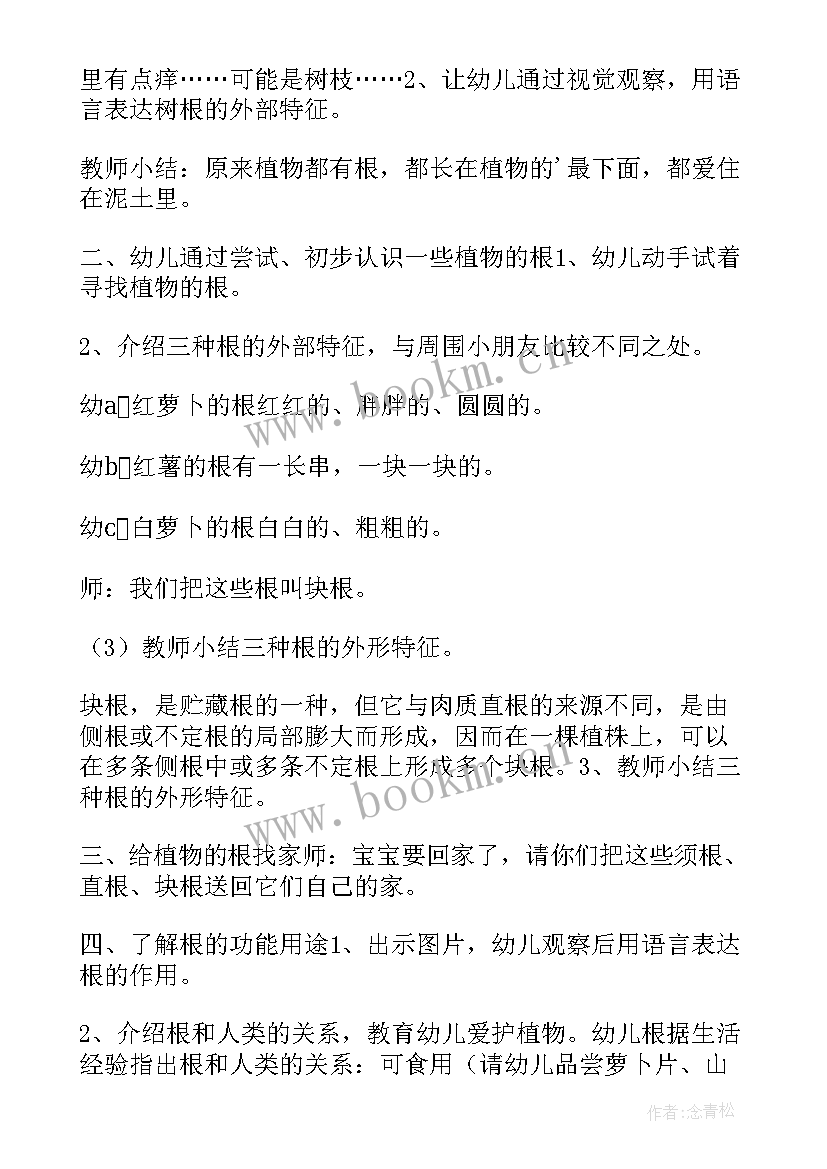 2023年桥的秘密教案反思 中班科学雨的秘密教案(精选20篇)