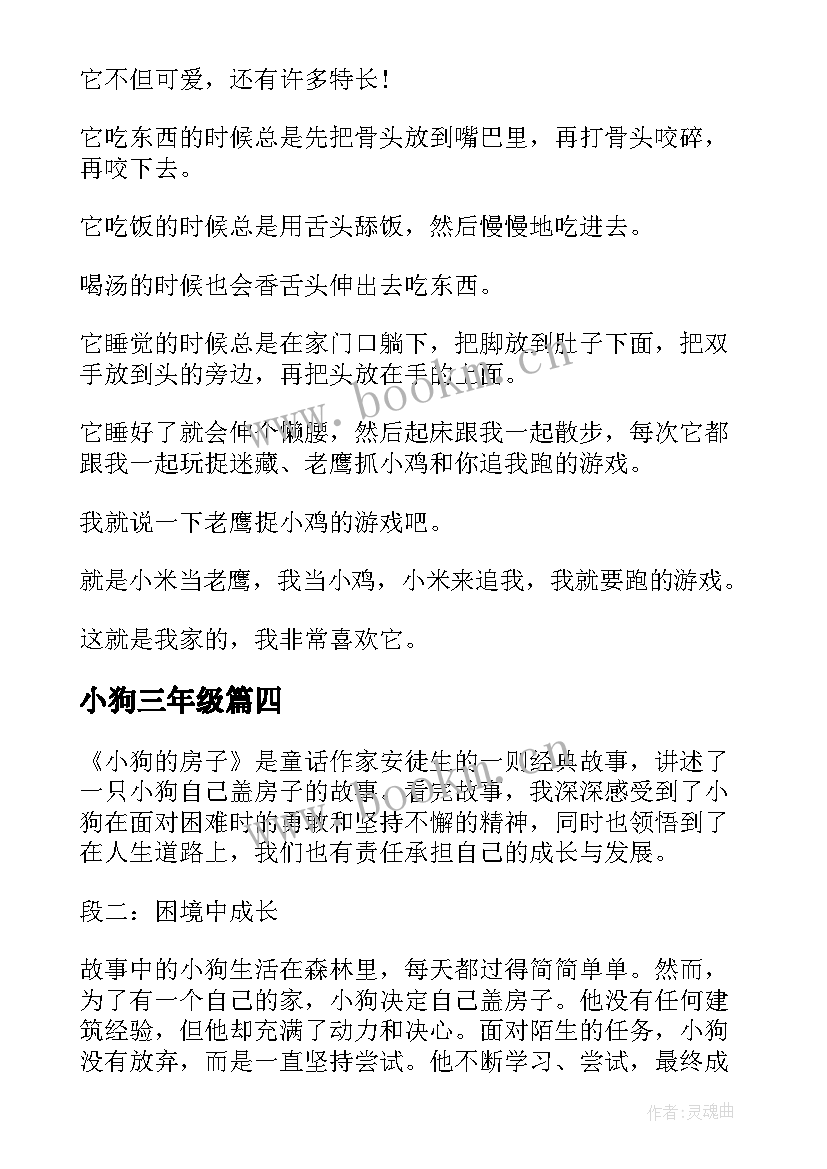 小狗三年级 青蛙和小狗心得体会(精选15篇)