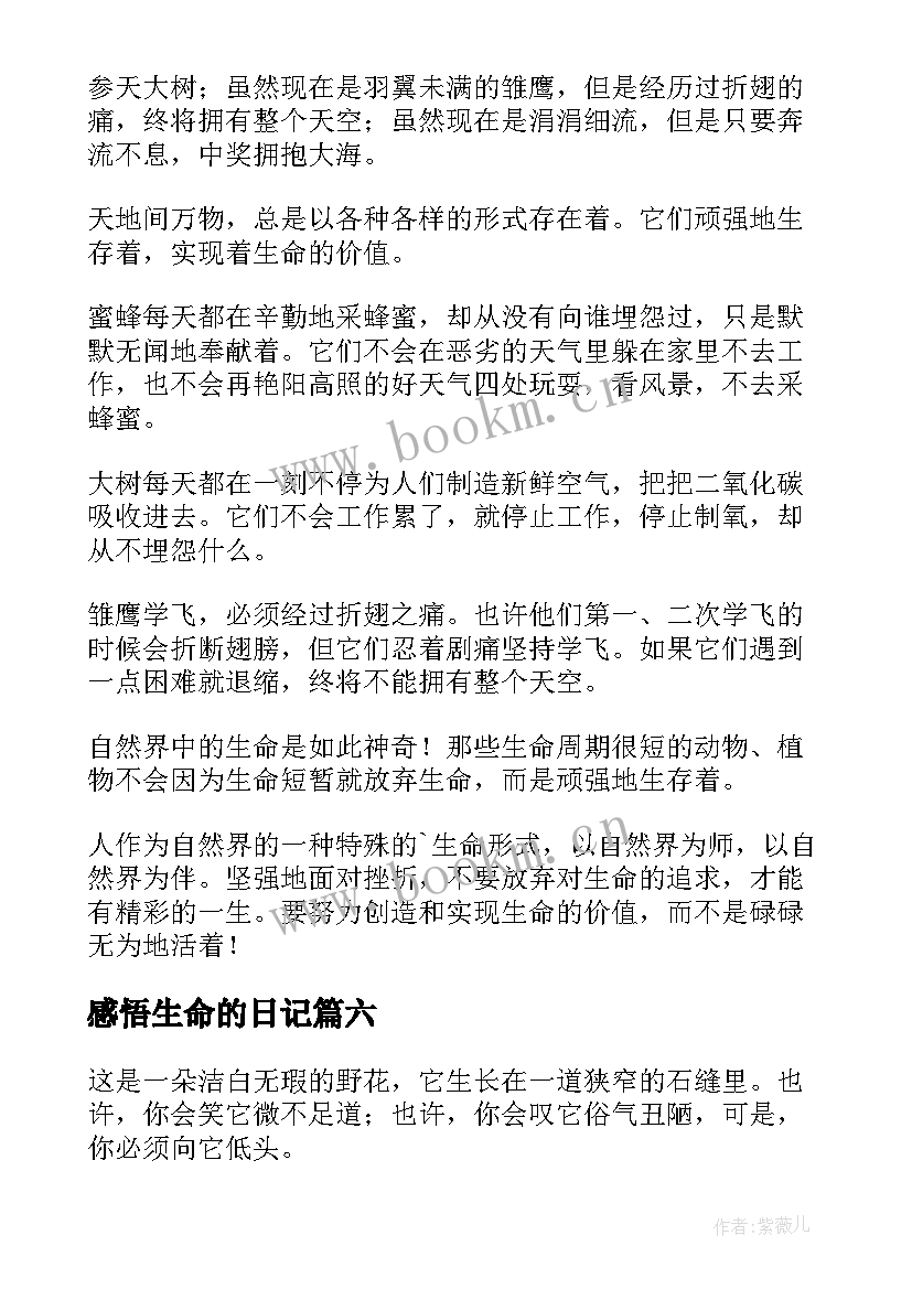 2023年感悟生命的日记(大全8篇)