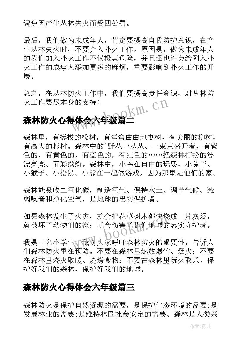 最新森林防火心得体会六年级(大全18篇)